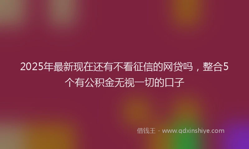 2025年最新现在还有不看征信的网贷吗，整合5个有公积金无视一切的口子