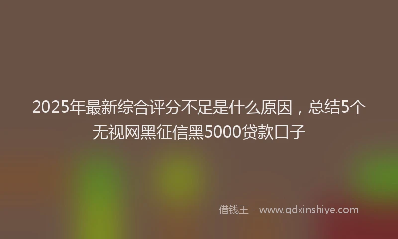 2025年最新综合评分不足是什么原因，总结5个无视网黑征信黑5000贷款口子