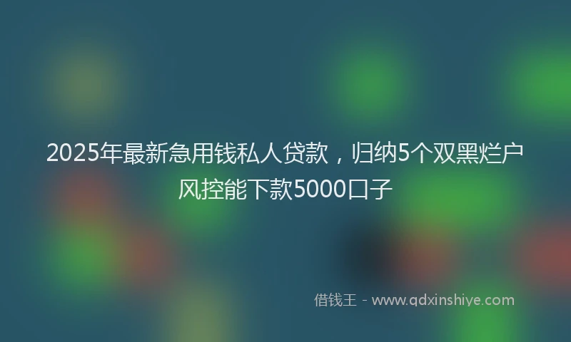 2025年最新急用钱私人贷款，归纳5个双黑烂户风控能下款5000口子