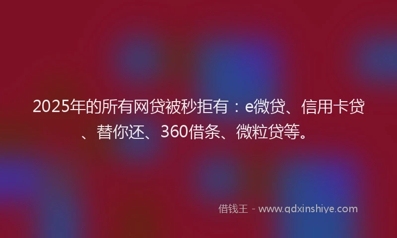 2025年的所有网贷被秒拒有：e微贷、信用卡贷、替你还、360借条、微粒贷等。
