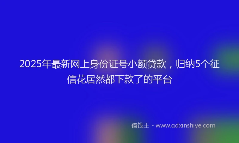 2025年最新网上身份证号小额贷款，归纳5个征信花居然都下款了的平台