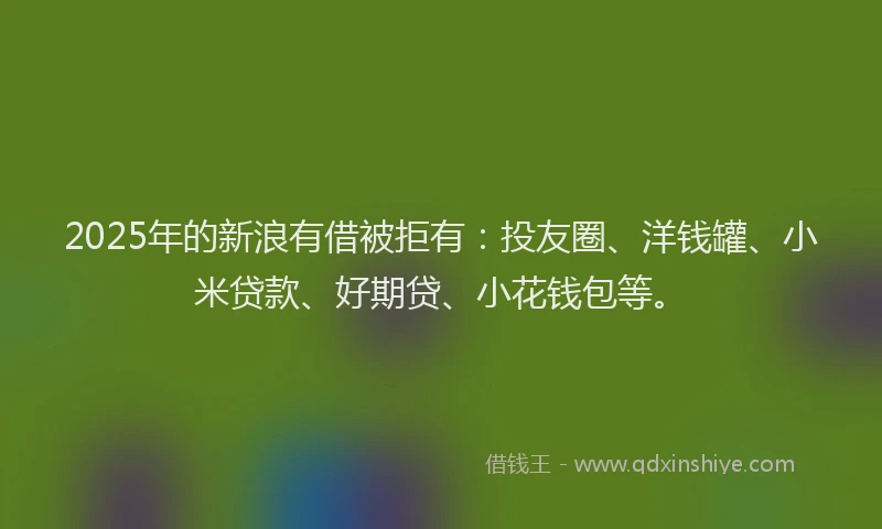 2025年的新浪有借被拒有：投友圈、洋钱罐、小米贷款、好期贷、小花钱包等。