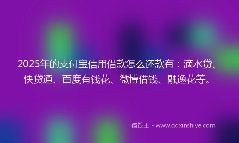 2025年的支付宝信用借款怎么还款有：滴水贷、快贷通、百度有钱花、微博借钱、融逸花等。