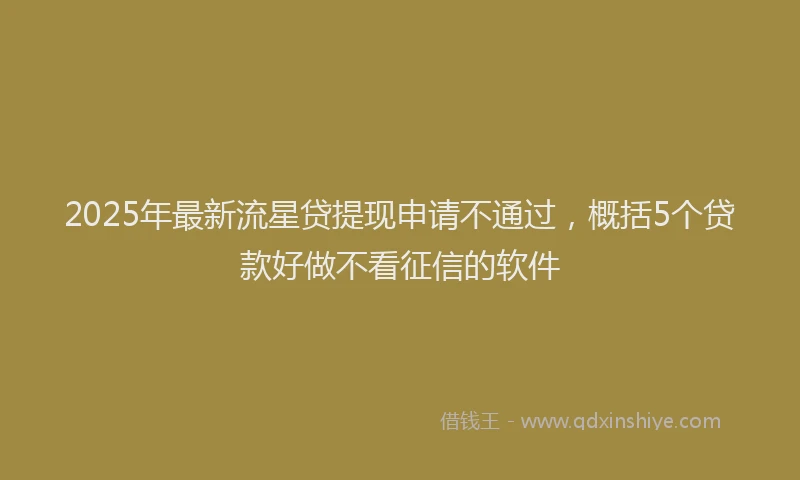 2025年最新流星贷提现申请不通过，概括5个贷款好做不看征信的软件