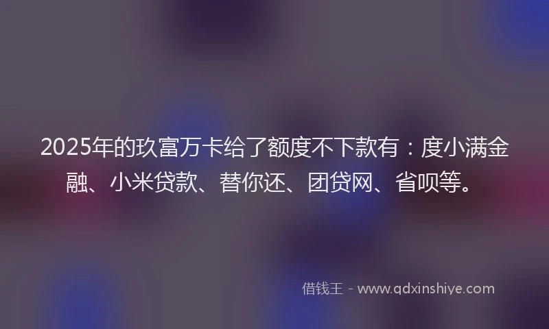 2025年的玖富万卡给了额度不下款有：度小满金融、小米贷款、替你还、团贷网、省呗等。