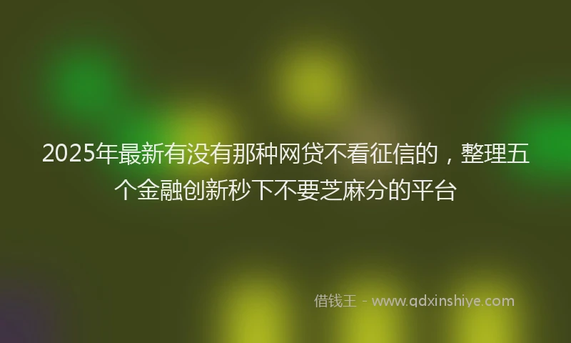 2025年最新有没有那种网贷不看征信的，整理五个金融创新秒下不要芝麻分的平台
