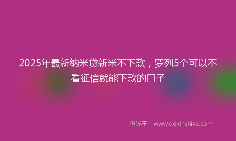2025年最新纳米贷新米不下款，罗列5个可以不看征信就能下款的口子