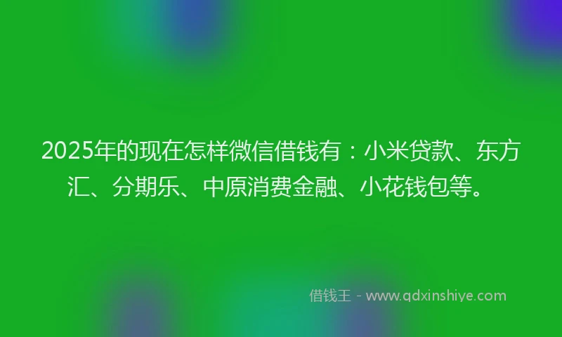 2025年的现在怎样微信借钱有：小米贷款、东方汇、分期乐、中原消费金融、小花钱包等。