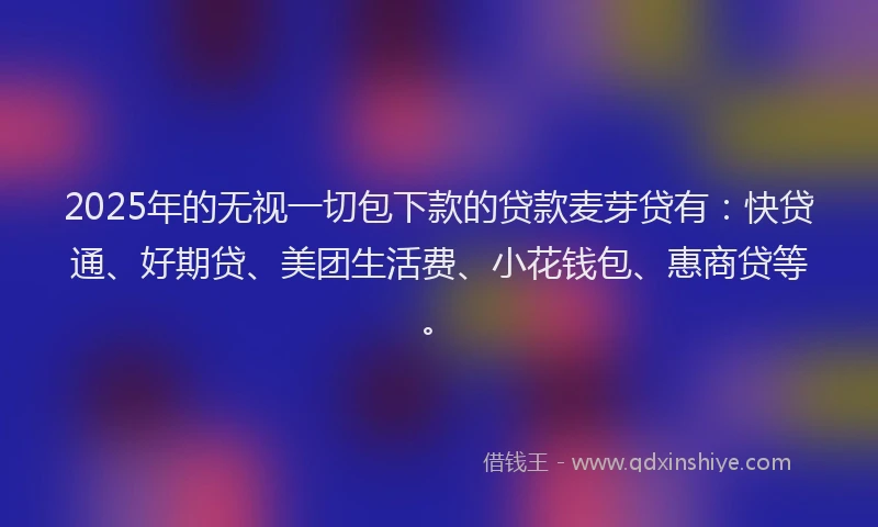 2025年的无视一切包下款的贷款麦芽贷有：快贷通、好期贷、美团生活费、小花钱包、惠商贷等。