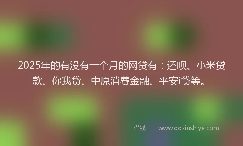 2025年的有没有一个月的网贷有：还呗、小米贷款、你我贷、中原消费金融、平安i贷等。