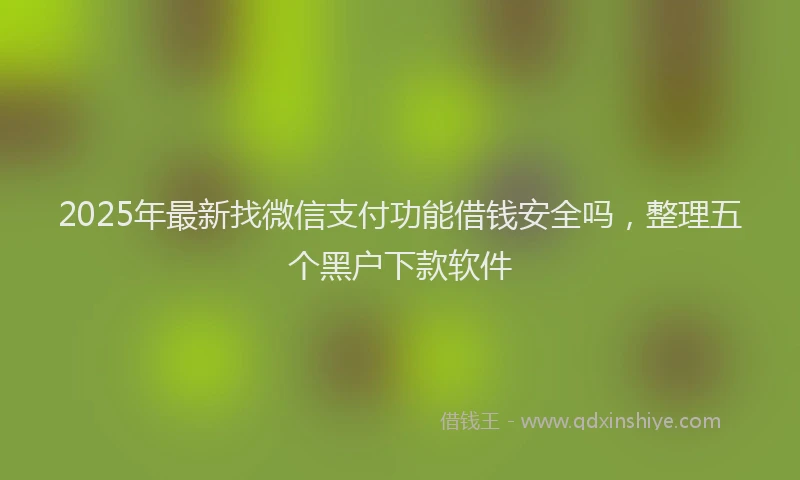 2025年最新找微信支付功能借钱安全吗，整理五个黑户下款软件