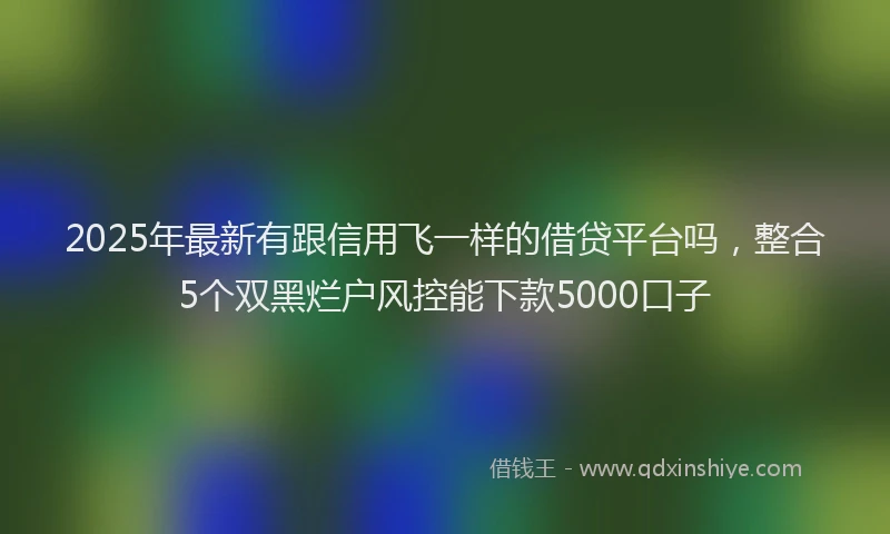2025年最新有跟信用飞一样的借贷平台吗，整合5个双黑烂户风控能下款5000口子