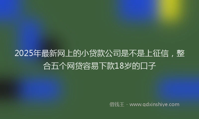 2025年最新网上的小贷款公司是不是上征信，整合五个网贷容易下款18岁的口子