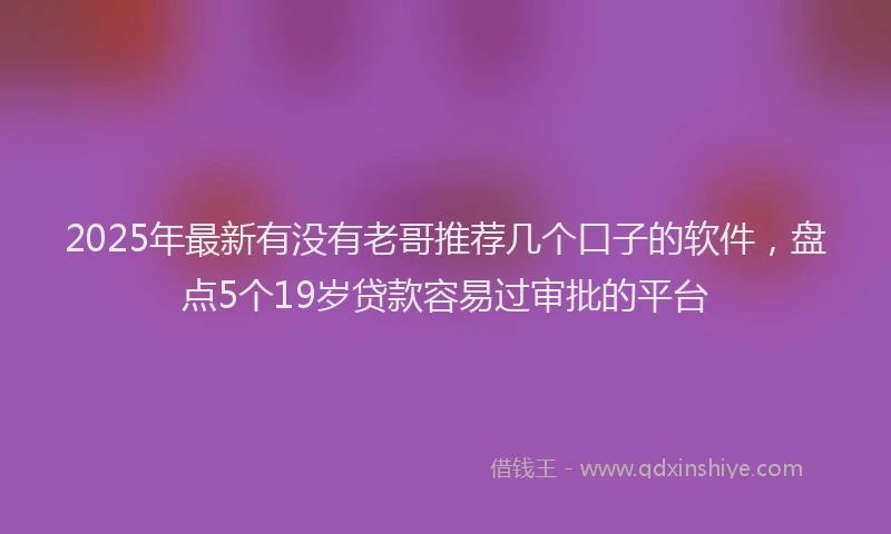 2025年最新有没有老哥推荐几个口子的软件，盘点5个19岁贷款容易过审批的平台