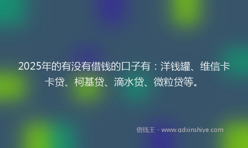 2025年的有没有借钱的口子有：洋钱罐、维信卡卡贷、柯基贷、滴水贷、微粒贷等。