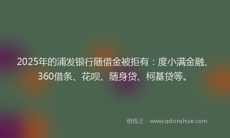 2025年的浦发银行随借金被拒有：度小满金融、360借条、花呗、随身贷、柯基贷等。