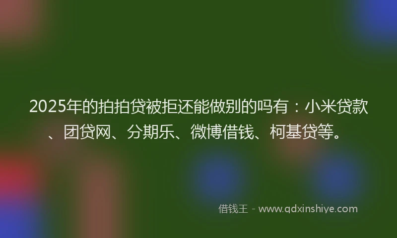 2025年的拍拍贷被拒还能做别的吗有：小米贷款、团贷网、分期乐、微博借钱、柯基贷等。