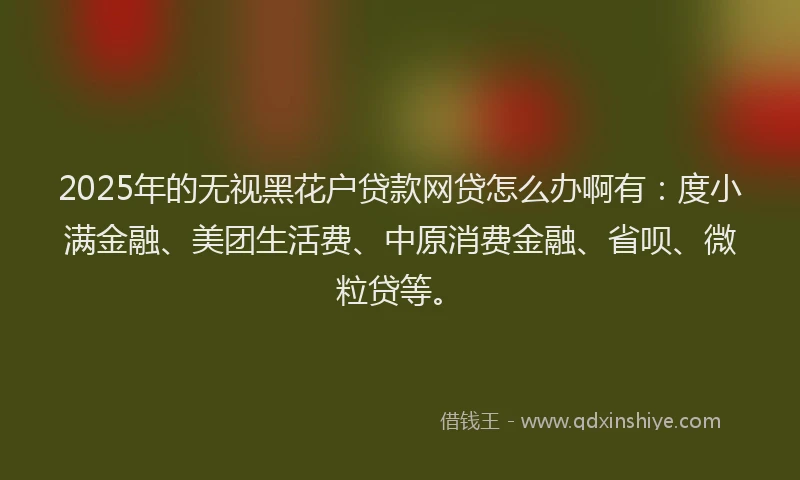 2025年的无视黑花户贷款网贷怎么办啊有：度小满金融、美团生活费、中原消费金融、省呗、微粒贷等。