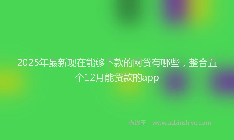 2025年最新现在能够下款的网贷有哪些，整合五个12月能贷款的app