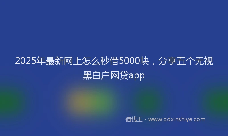 2025年最新网上怎么秒借5000块，分享五个无视黑白户网贷app
