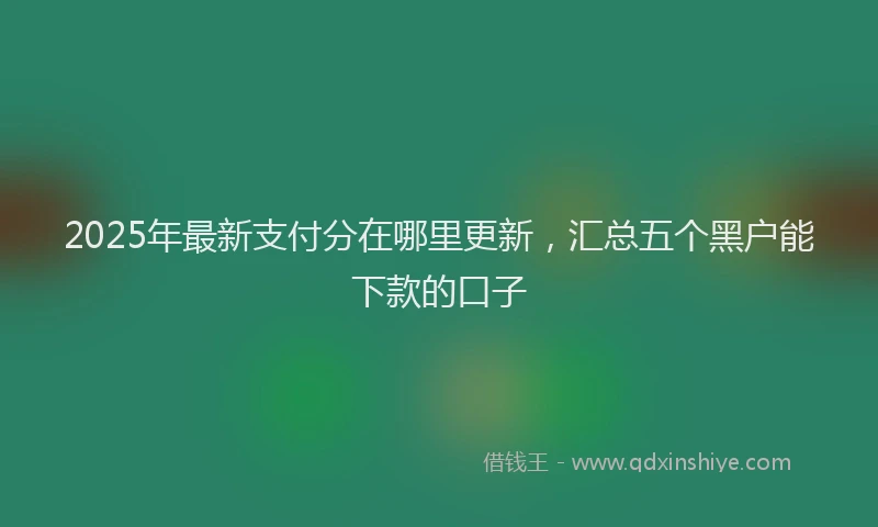 2025年最新支付分在哪里更新，汇总五个黑户能下款的口子