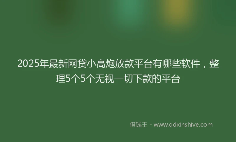 2025年最新网贷小高炮放款平台有哪些软件，整理5个5个无视一切下款的平台