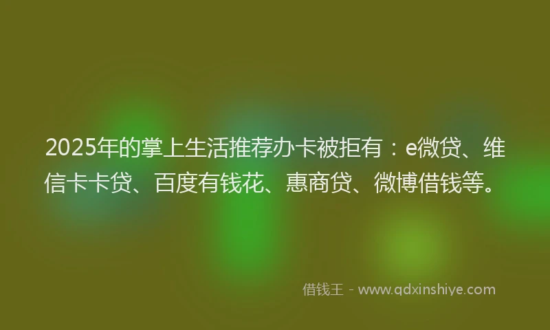 2025年的掌上生活推荐办卡被拒有：e微贷、维信卡卡贷、百度有钱花、惠商贷、微博借钱等。