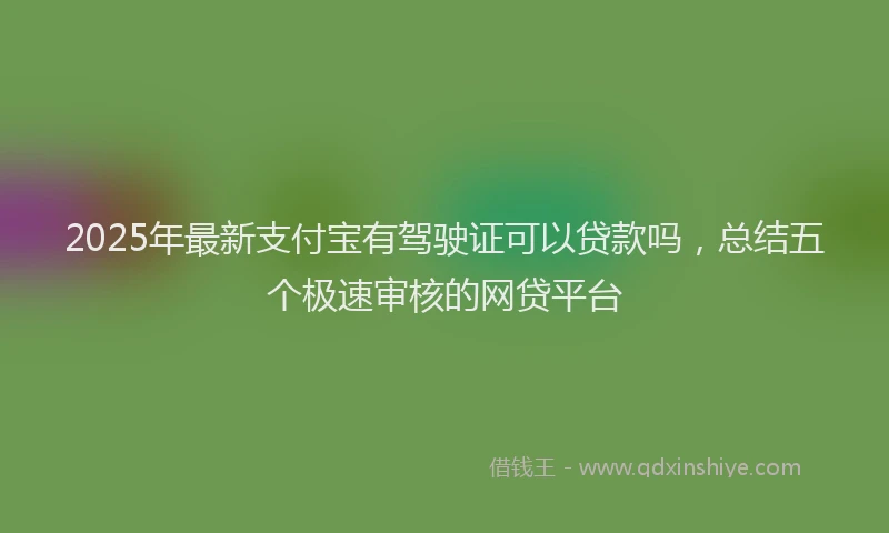 2025年最新支付宝有驾驶证可以贷款吗，总结五个极速审核的网贷平台