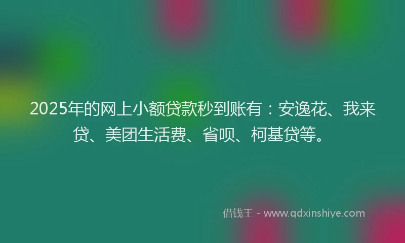 2025年的网上小额贷款秒到账有：安逸花、我来贷、美团生活费、省呗、柯基贷等。