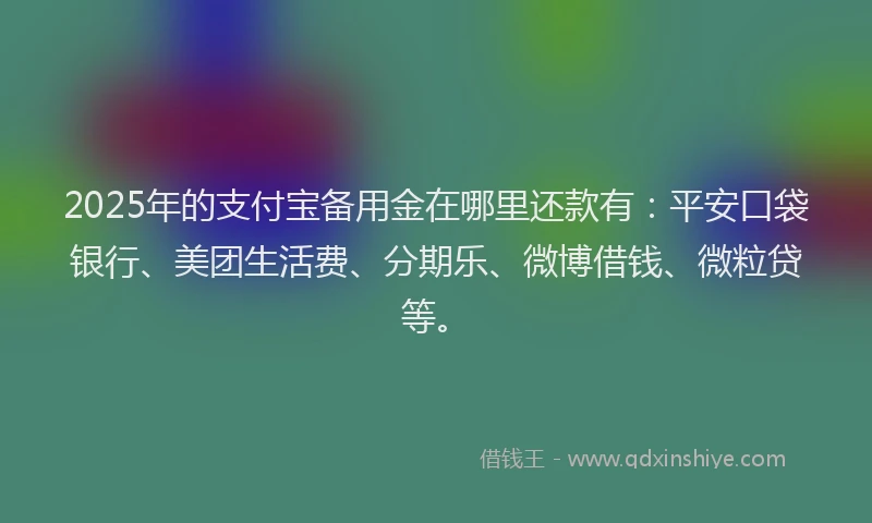 2025年的支付宝备用金在哪里还款有：平安口袋银行、美团生活费、分期乐、微博借钱、微粒贷等。