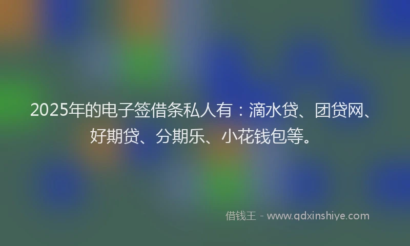 2025年的电子签借条私人有：滴水贷、团贷网、好期贷、分期乐、小花钱包等。
