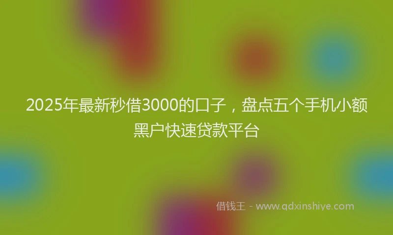 2025年最新秒借3000的口子，盘点五个手机小额黑户快速贷款平台