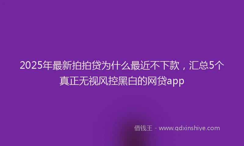 2025年最新拍拍贷为什么最近不下款，汇总5个真正无视风控黑白的网贷app