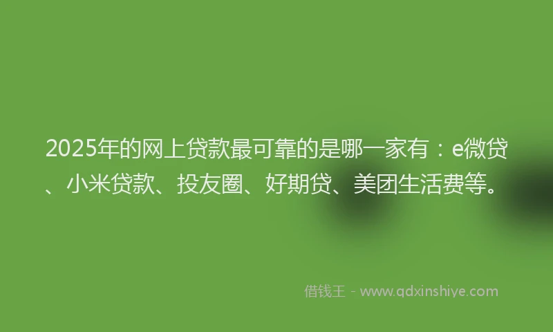 2025年的网上贷款最可靠的是哪一家有：e微贷、小米贷款、投友圈、好期贷、美团生活费等。