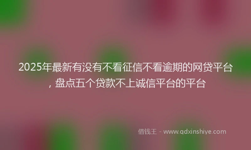 2025年最新有没有不看征信不看逾期的网贷平台，盘点五个贷款不上诚信平台的平台