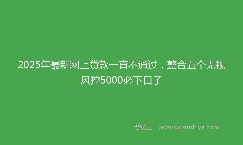 2025年最新网上贷款一直不通过，整合五个无视风控5000必下口子