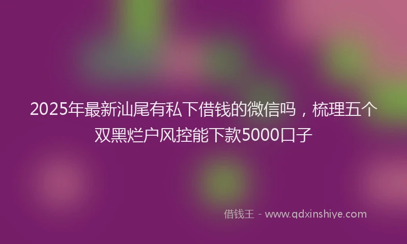 2025年最新汕尾有私下借钱的微信吗，梳理五个双黑烂户风控能下款5000口子