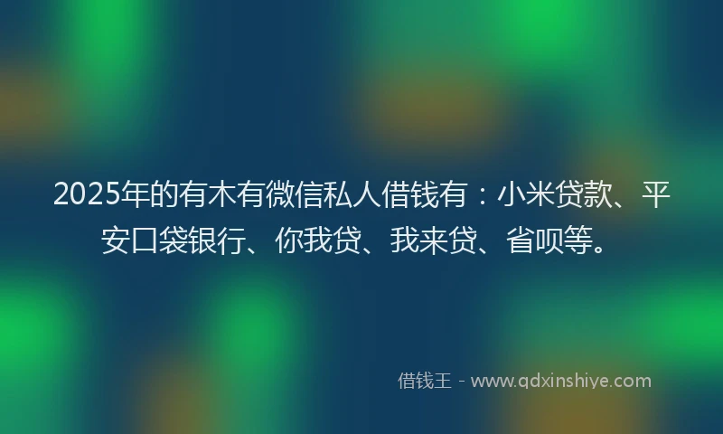 2025年的有木有微信私人借钱有：小米贷款、平安口袋银行、你我贷、我来贷、省呗等。