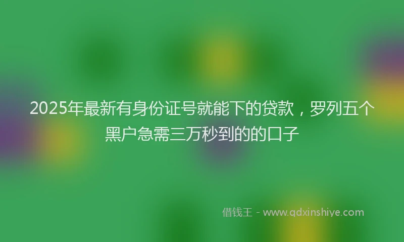 2025年最新有身份证号就能下的贷款，罗列五个黑户急需三万秒到的的口子