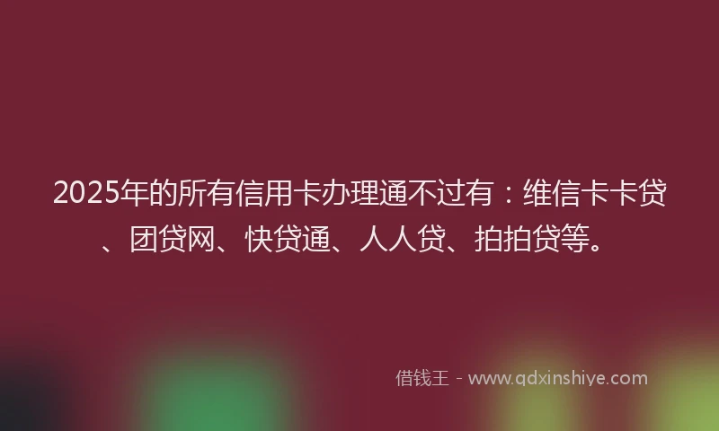 2025年的所有信用卡办理通不过有：维信卡卡贷、团贷网、快贷通、人人贷、拍拍贷等。