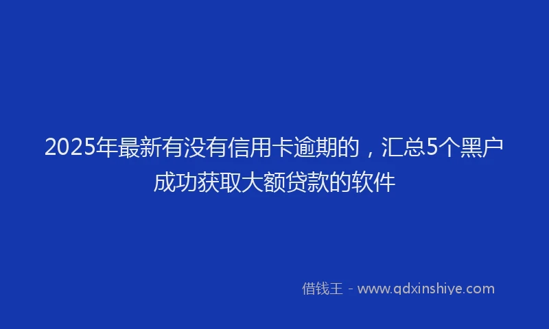 2025年最新有没有信用卡逾期的，汇总5个黑户成功获取大额贷款的软件
