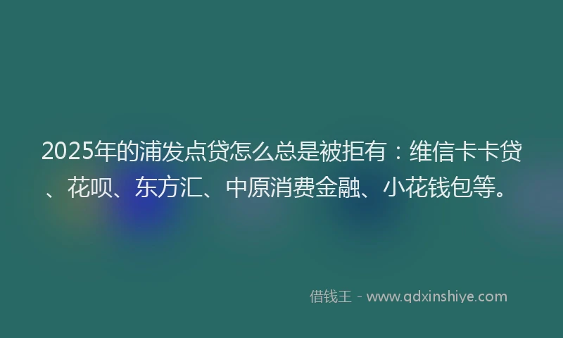 2025年的浦发点贷怎么总是被拒有：维信卡卡贷、花呗、东方汇、中原消费金融、小花钱包等。