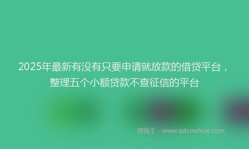 2025年最新有没有只要申请就放款的借贷平台，整理五个小额贷款不查征信的平台