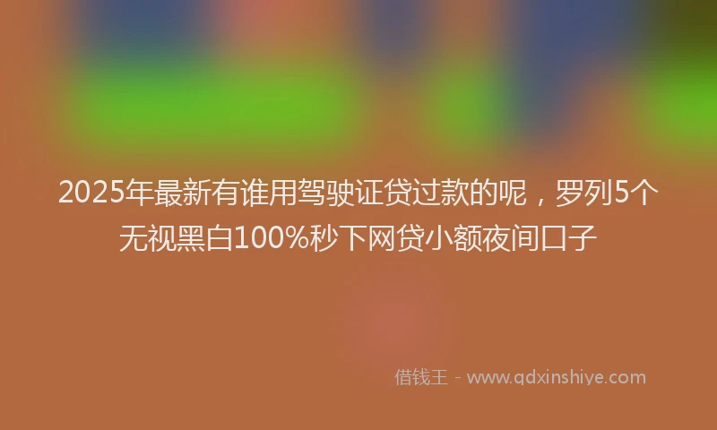 2025年最新有谁用驾驶证贷过款的呢，罗列5个无视黑白100%秒下网贷小额夜间口子