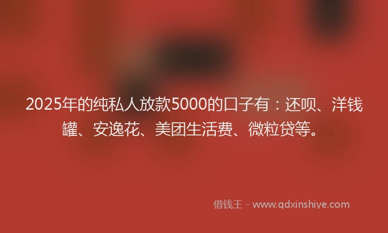 2025年的纯私人放款5000的口子有：还呗、洋钱罐、安逸花、美团生活费、微粒贷等。