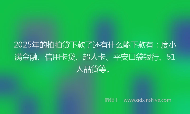 2025年的拍拍贷下款了还有什么能下款有：度小满金融、信用卡贷、超人卡、平安口袋银行、51人品贷等。