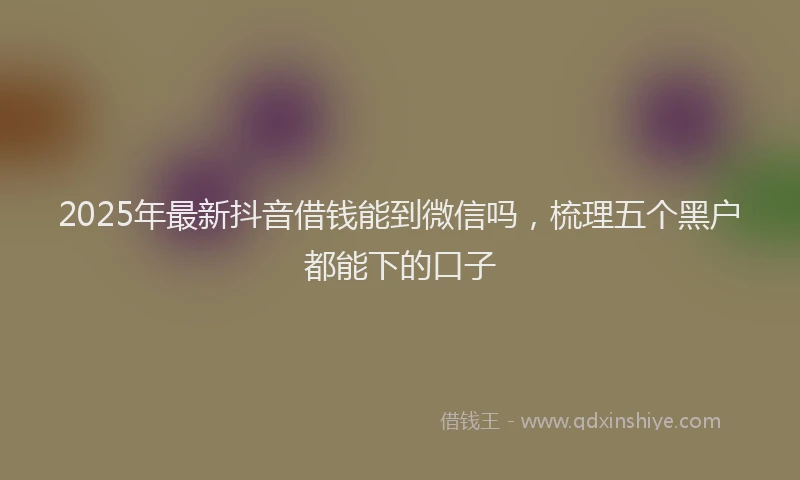 2025年最新抖音借钱能到微信吗，梳理五个黑户都能下的口子