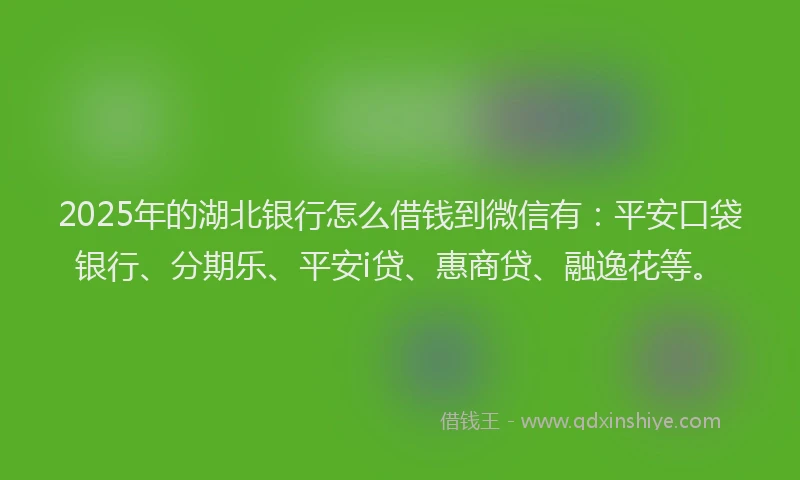 2025年的湖北银行怎么借钱到微信有：平安口袋银行、分期乐、平安i贷、惠商贷、融逸花等。