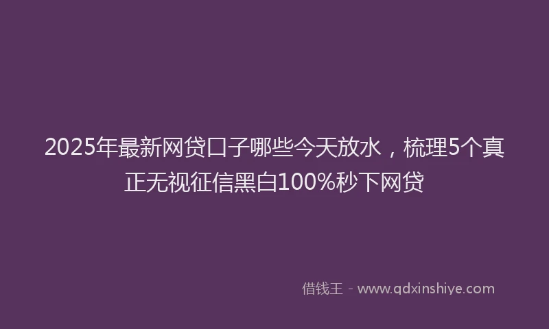 2025年最新网贷口子哪些今天放水，梳理5个真正无视征信黑白100%秒下网贷