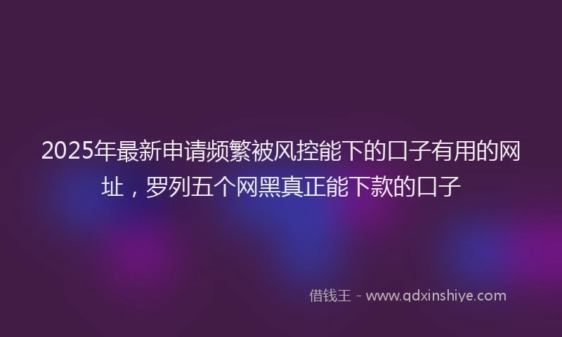 2025年最新申请频繁被风控能下的口子有用的网址，罗列五个网黑真正能下款的口子